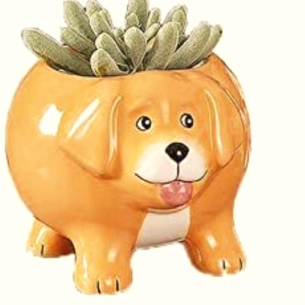Cute Golden Retriever SucculentCactus Plant Planter Pot Animal Flower Dog Doggie
